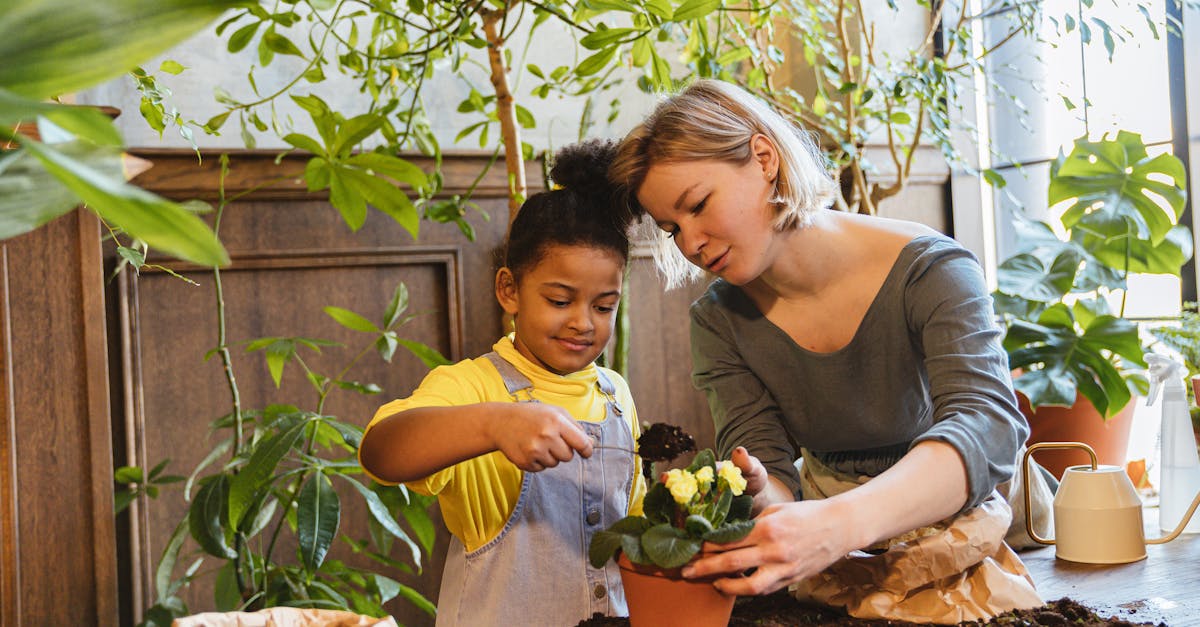 Programmes éducatifs écologiques : Sensibiliser les jeunes aux enjeux environnementaux