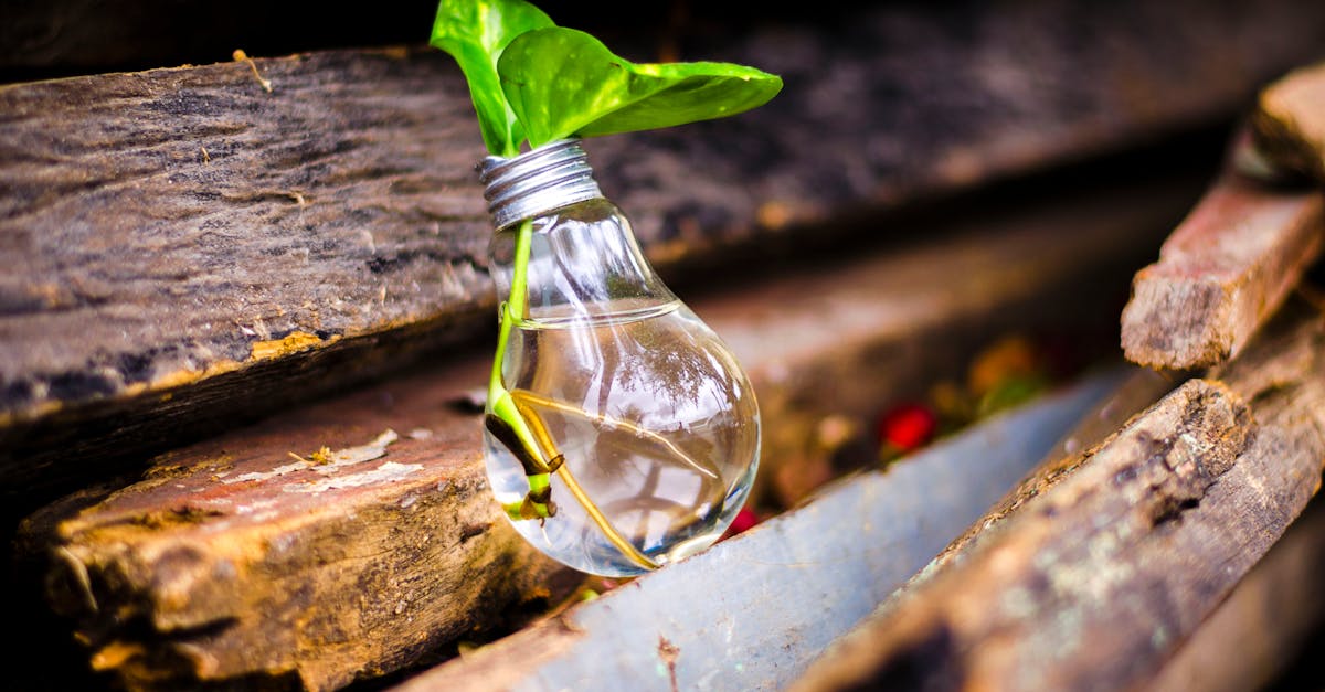 Impact 40/120 : Réinventer la souveraineté grâce à une innovation éco-responsable
