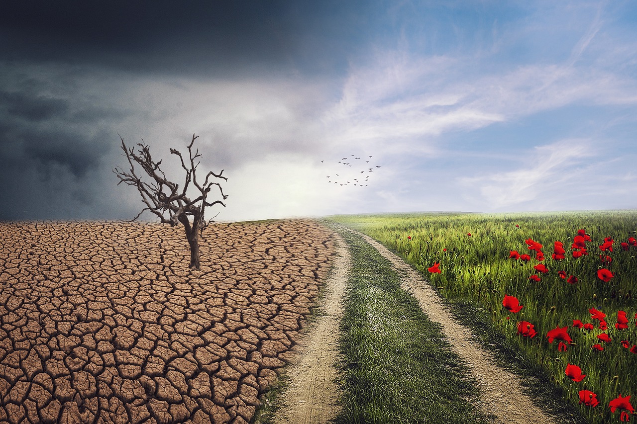 Les actions individuelles pour lutter contre le changement climatique