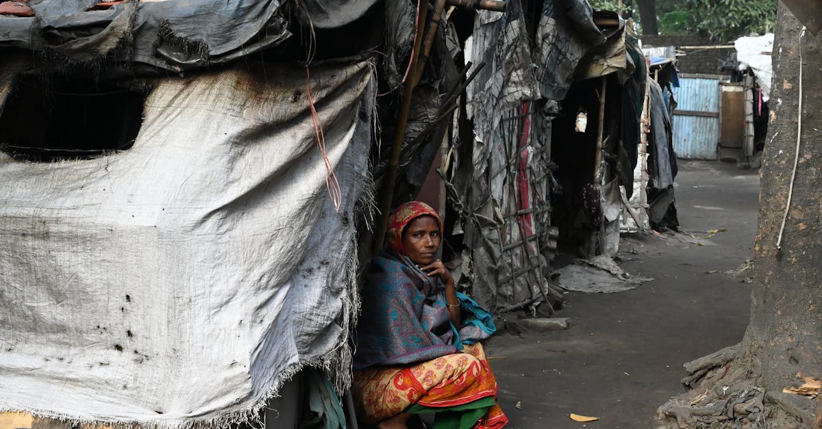 Adaptation urbaine : vers des villes plus résilientes et durables
