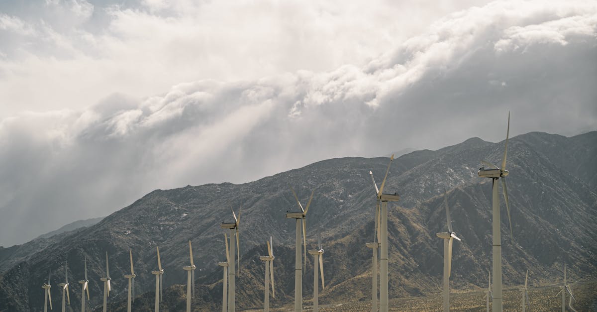 Accords internationaux : vers un avenir durable