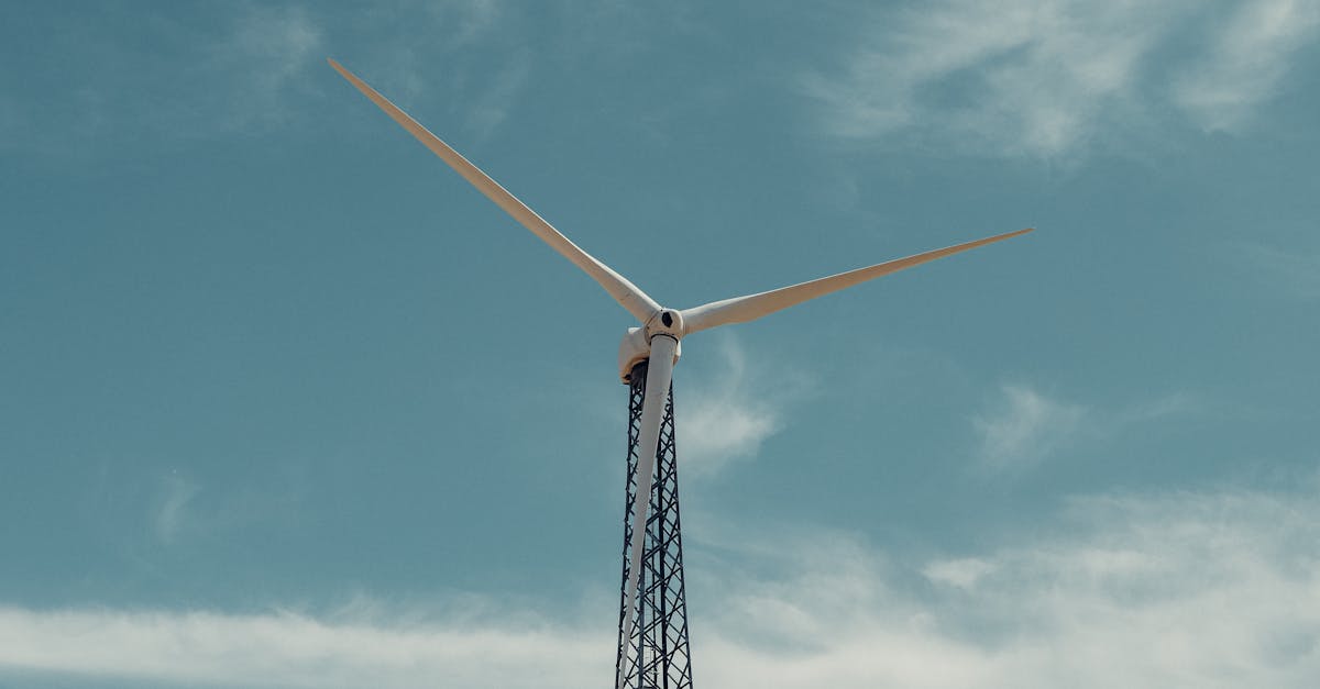 Le rôle des gouvernements dans la promotion des innovations écologiques