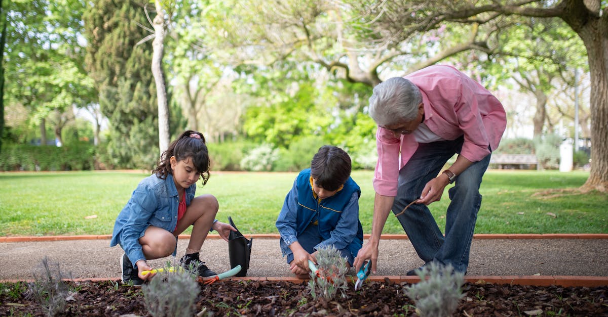 Éducation environnementale : comprendre son importance dans la société moderne