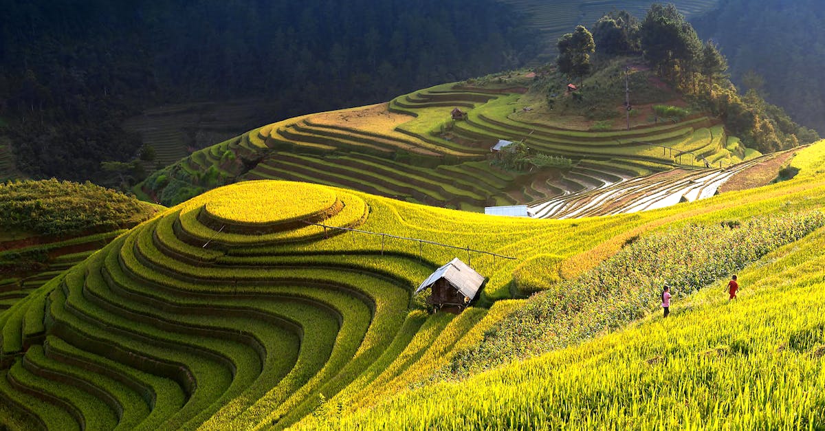 Agriculture durable : comment nourrir la population tout en préservant la nature