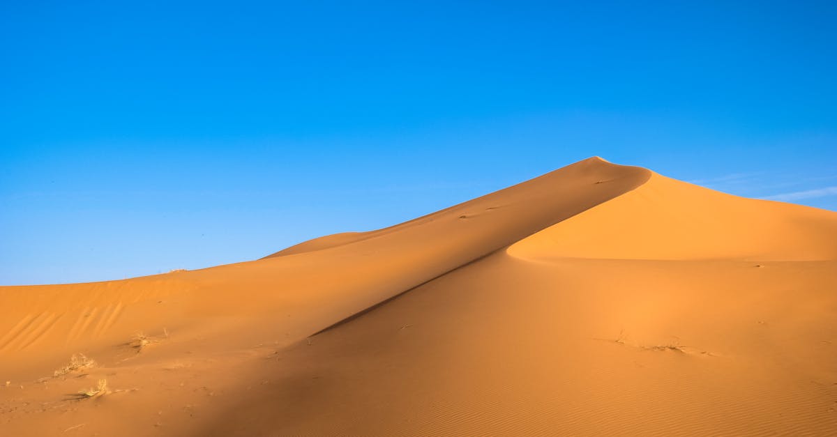 d&eacute;couvrez le climat d&eacute;sertique, un &eacute;cosyst&egrave;me fascinant caract&eacute;ris&eacute; par des temp&eacute;ratures extr&ecirc;mes, des pr&eacute;cipitations rares et une biodiversit&eacute; unique. explorez les adaptations des plantes et des animaux qui prosp&egrave;rent dans ces conditions arides.