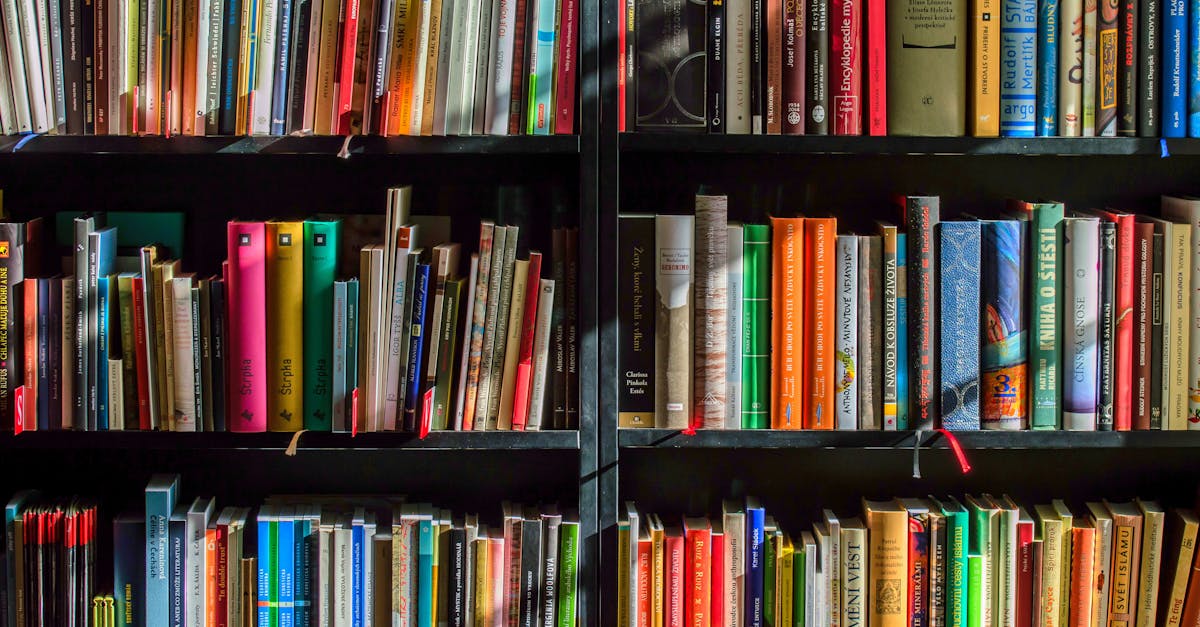 découvrez des ressources et des conseils sur l'éducation pour optimiser l'apprentissage, développer des compétences essentielles et favoriser la réussite académique. explorez nos articles sur les techniques pédagogiques, l'importance de l'éducation continue et les outils pour soutenir les étudiants.