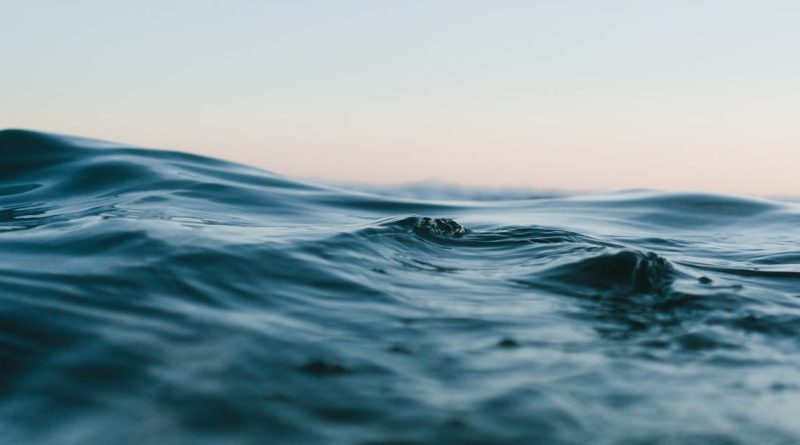 découvrez la richesse et la diversité des océans, explorez leurs mystères, la vie marine fascinante et l'importance cruciale de ces vastes étendues d'eau pour notre planète. plongez dans l'univers des profondeurs marines et comprenez les enjeux de leur préservation.