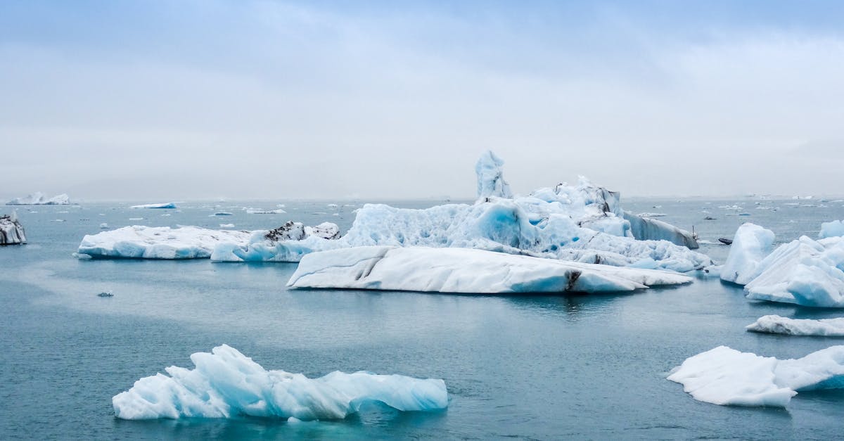 Comprendre les impacts du changement climatique sur notre planète