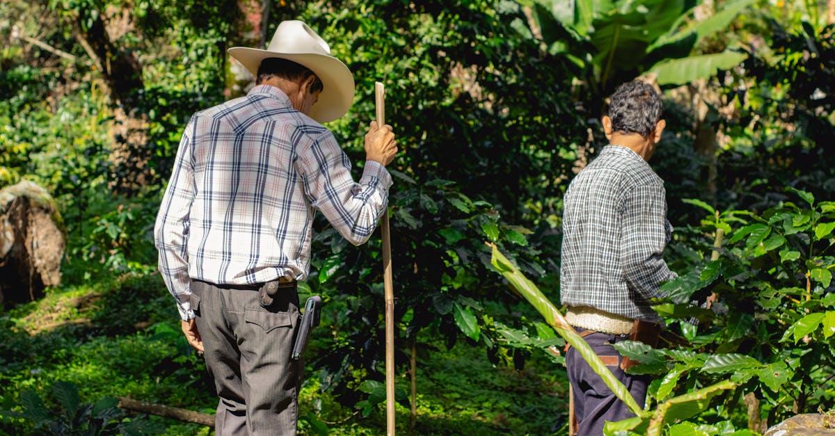 Des innovations vertes pour une agriculture durable