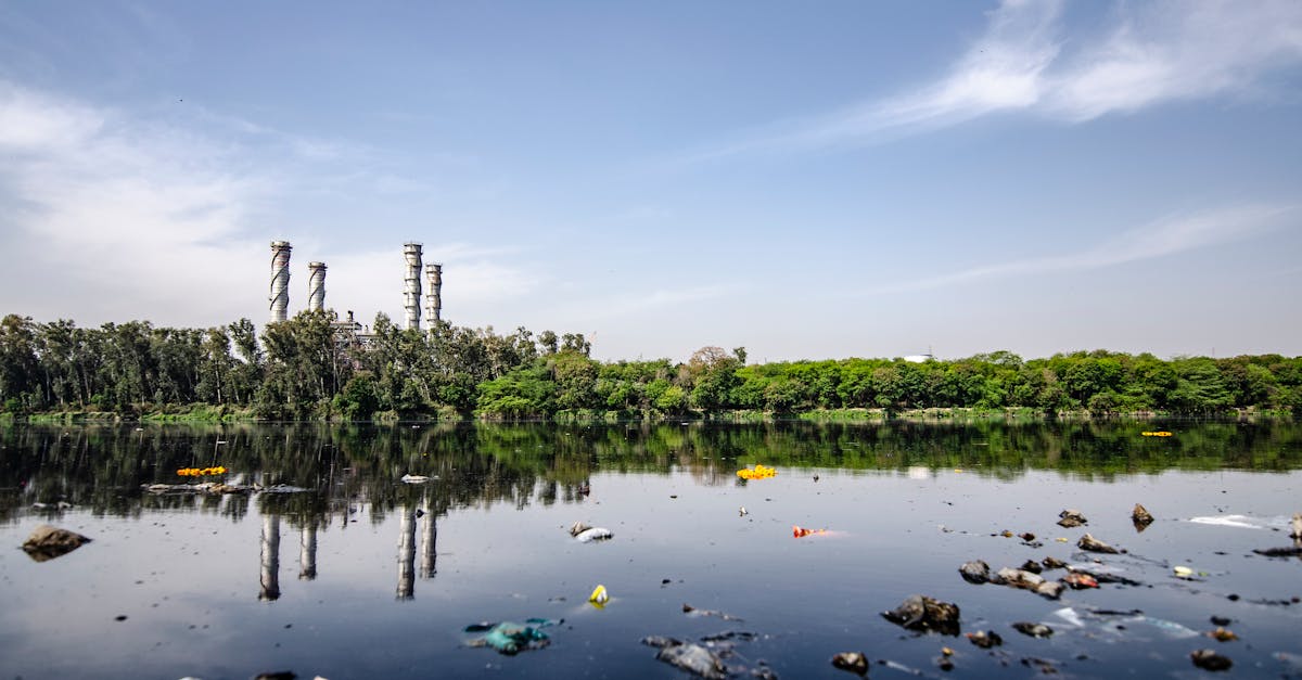 La pollution et le changement climatique : un duo destructeur