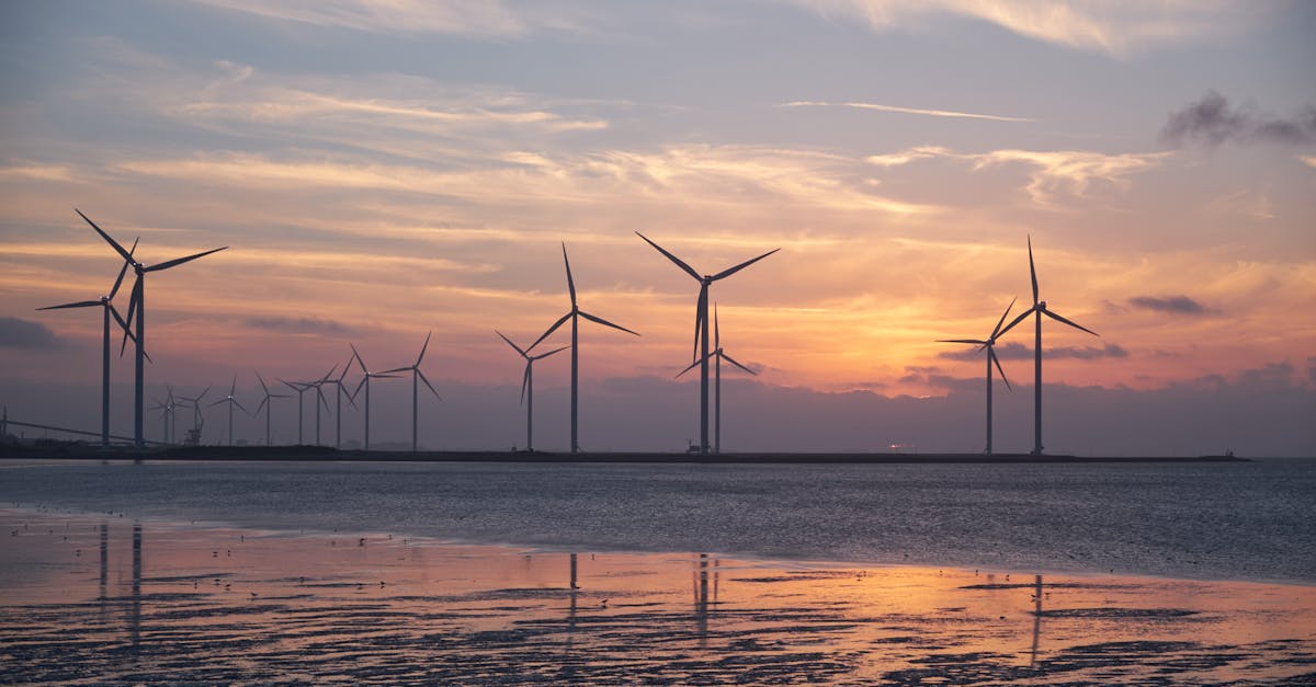 La transition énergétique : enjeux et perspectives pour un avenir durable