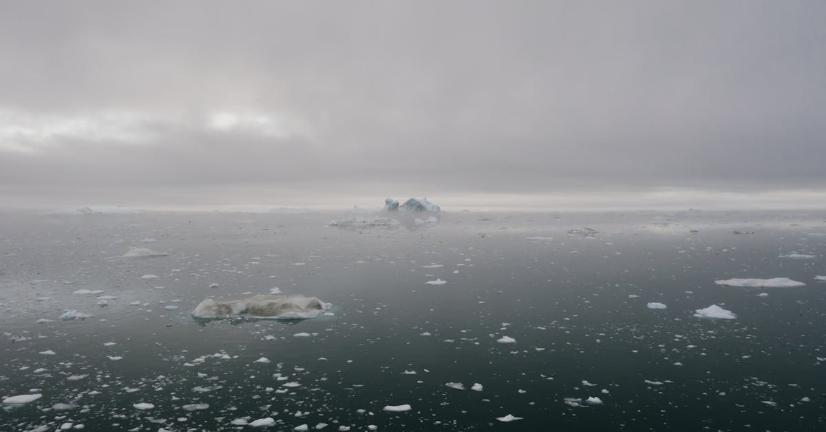 découvrez les enjeux liés à l'élévation du niveau de la mer, ses causes, ses conséquences sur l'environnement et les sociétés, ainsi que les mesures à prendre pour y faire face. informez-vous sur ce phénomène crucial et ses impacts sur notre planète.