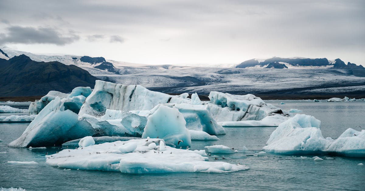 Les effets du changement climatique sur notre planète