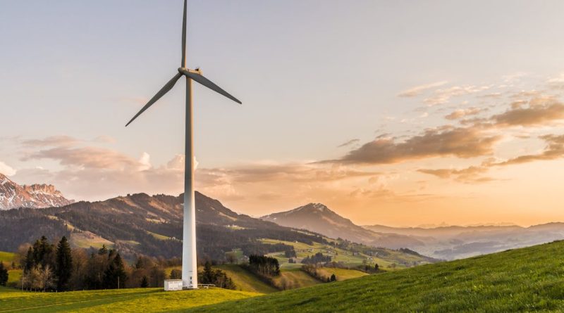 découvrez les enjeux du développement durable et explorez des solutions innovantes pour un avenir respectueux de l'environnement. apprenez comment allier croissance économique, inclusion sociale et préservation des ressources naturelles.