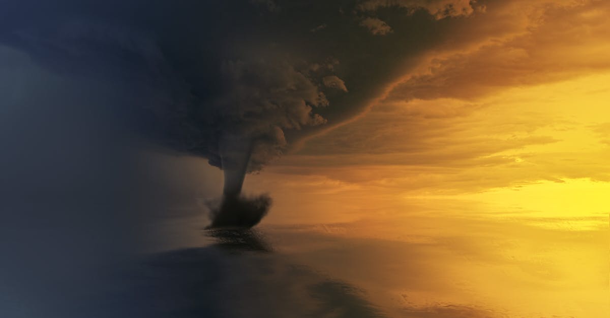 découvrez tout sur les ouragans : formation, impacts, prévisions et mesures de sécurité pour faire face à ces phénomènes naturels puissants. restez informé et préparé face aux tempêtes.