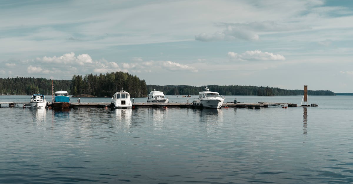 Un label d’excellence pour saluer les initiatives audacieuses en matière de climat, d’air et d’énergie de la MEL, favorisant ainsi une transition écologique rapide de notre territoire.