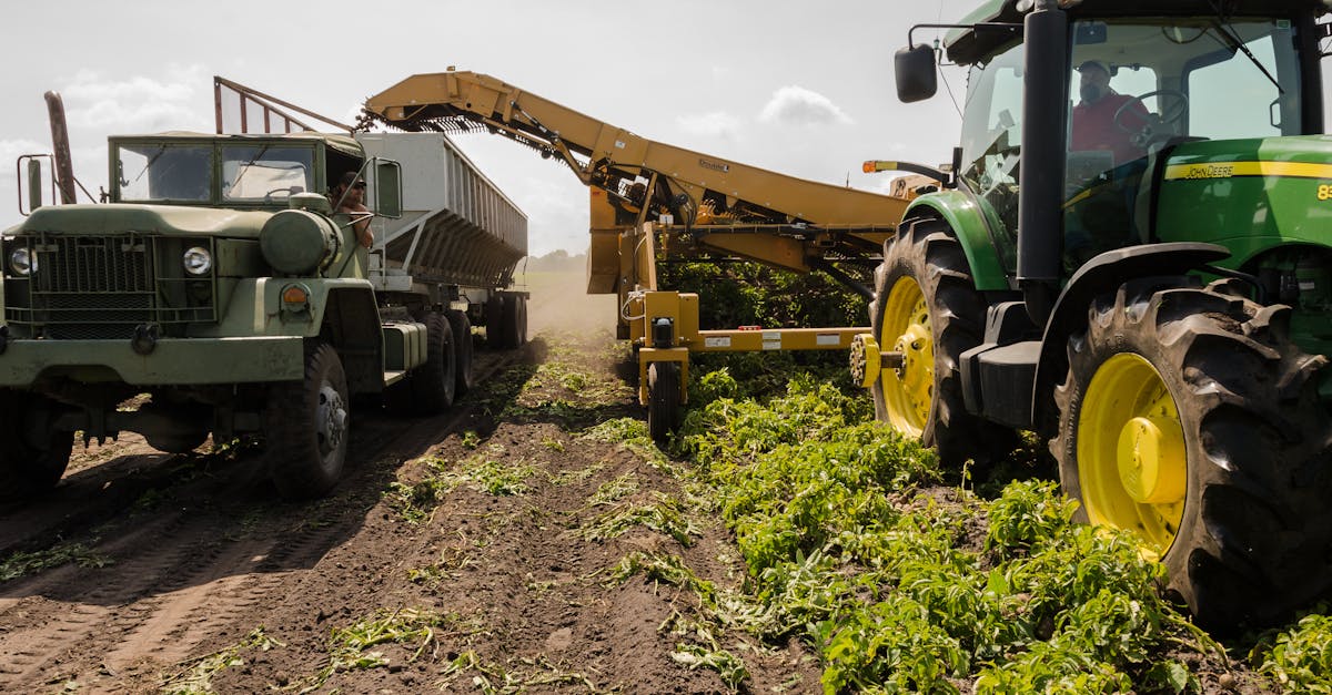 découvrez l'univers de l'agriculture, un secteur clé qui façonne notre alimentation et notre environnement. explorez les innovations agricoles, les techniques durables, et l'importance de l'agriculture dans la lutte contre le changement climatique.