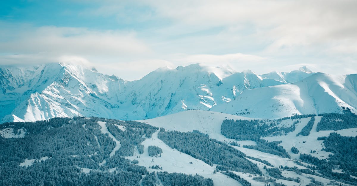 découvrez les défis climatiques auxquels l'arctique est confronté, notamment la fonte des glaces, l'augmentation des températures et leurs impacts sur l'environnement et les communautés locales.