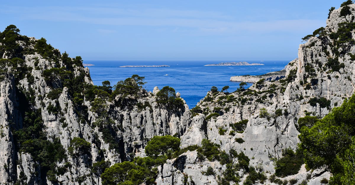 découvrez l'importance de la biodiversité, sa richesse et son rôle essentiel dans l'équilibre des écosystèmes. apprenez comment protéger notre planète et préserver les espèces pour les générations futures.