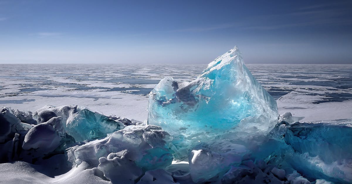 découvrez l'impact du changement climatique sur notre planète et les actions essentielles pour préserver notre environnement. informez-vous sur les dernières recherches et initiatives pour un avenir durable.