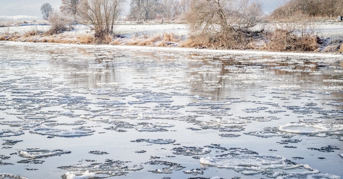 découvrez les dernières analyses climatiques, les tendances mondiales en matière de climat, et les impacts environnementaux. restez informé sur les initiatives et solutions pour un avenir durable.