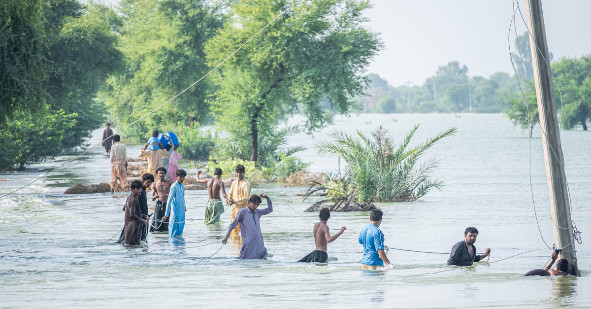 explorez les défis climatiques contemporains qui affectent notre planète. découvrez les causes, les impacts et les solutions potentielles pour lutter contre le changement climatique et préserver notre environnement pour les générations futures.