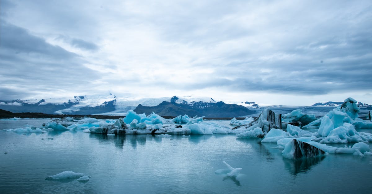 découvrez les enjeux et les impacts du changement climatique sur notre planète. informez-vous sur les causes, les conséquences et les actions à entreprendre pour préserver notre environnement face à cette crise mondiale.