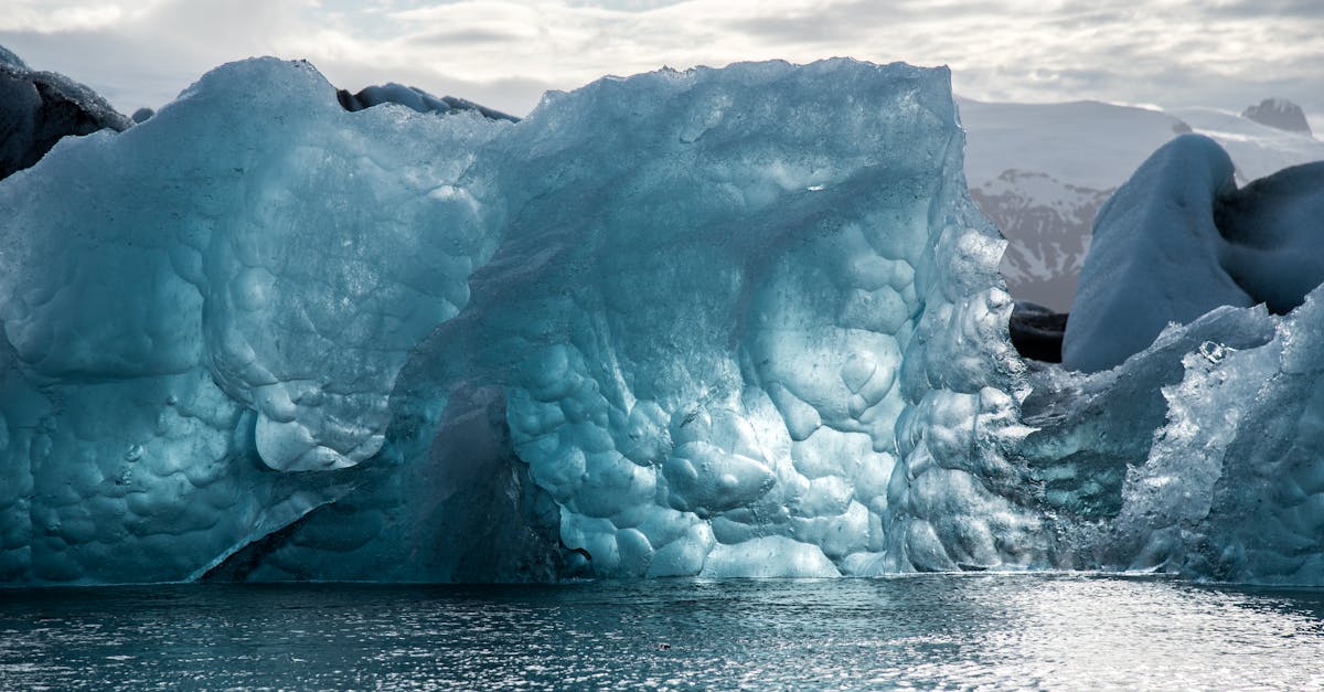 découvrez l'impact du changement climatique sur notre planète, ses causes, ses conséquences et les actions nécessaires pour protéger notre environnement et assurer un avenir durable.