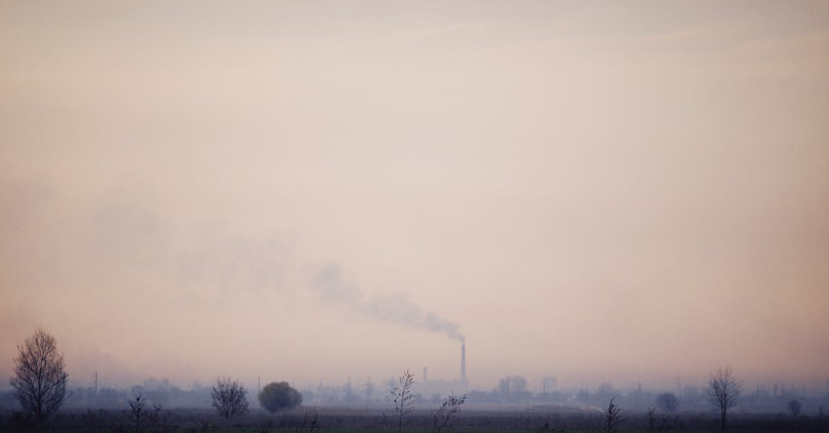 découvrez les impacts du changement climatique sur notre planète, notamment les effets sur l'environnement, la biodiversité et la santé humaine. informez-vous sur les défis à relever pour lutter contre cette crise mondiale et les solutions durables à envisager.