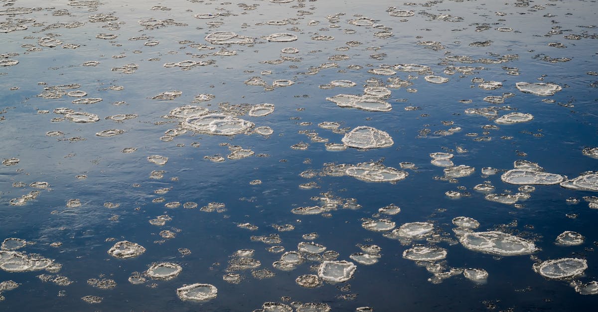 découvrez les composants climatiques essentiels qui influencent notre environnement. analysez les facteurs tels que la température, l'humidité et la pression atmosphérique, et comprenez leur rôle dans le changement climatique et les écosystèmes.