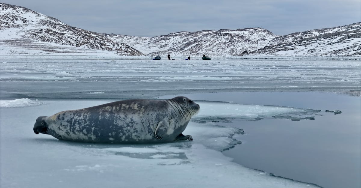 découvrez les composants climatiques essentiels qui influencent notre environnement. analysez les facteurs clés du climat, leur impact sur la biodiversité et la qualité de vie, et explorez des solutions durables pour un avenir meilleur.