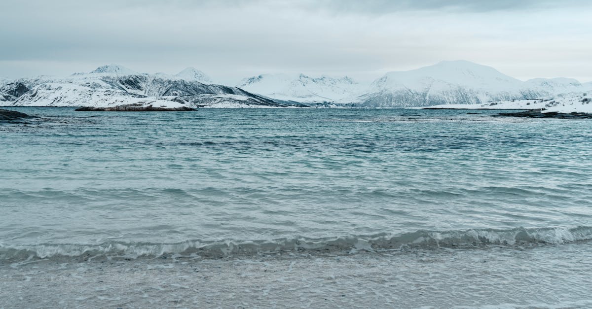 découvrez les composants climatiques essentiels qui influencent notre environnement, des facteurs atmosphériques aux interactions humaines. explorez comment ces éléments interagissent pour façonner notre climat et notre planète.