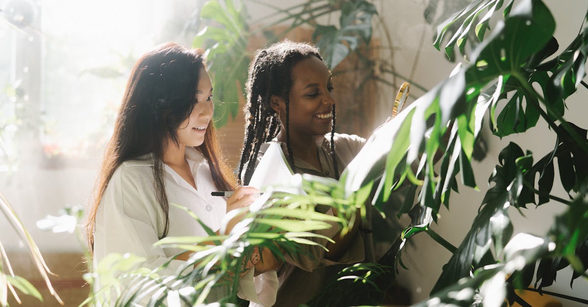 découvrez l'importance de l'éducation climatique pour sensibiliser et préparer les générations futures face aux enjeux environnementaux. apprenez comment intégrer des pratiques durables et responsables dans l'éducation pour un avenir plus vert.