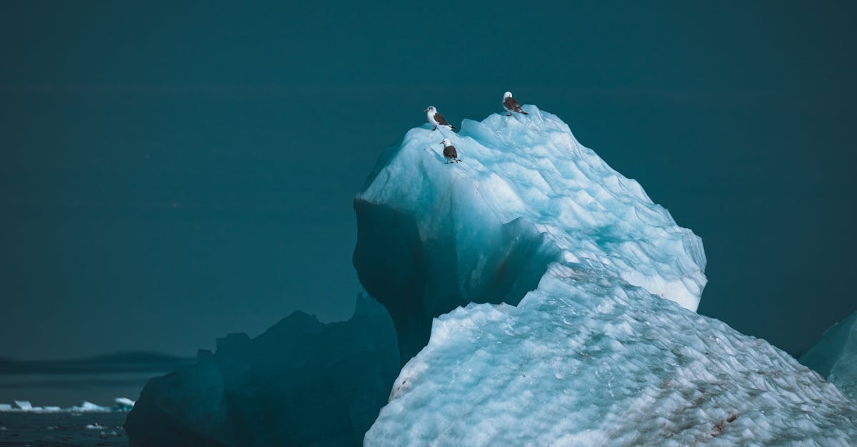 découvrez comment le changement climatique pousse des millions de personnes à migrer. analyse des causes, des conséquences et des solutions face aux migrations climatiques dans le monde d'aujourd'hui.