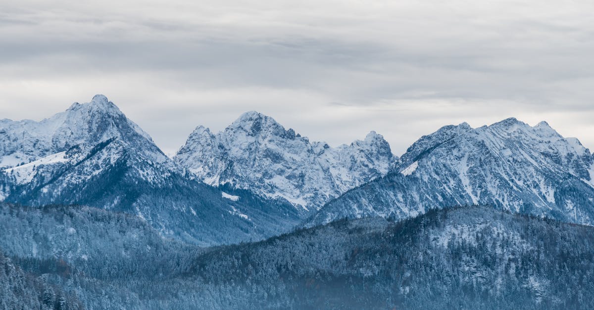 découvrez comment la mobilisation climatique vise à rassembler les individus, les communautés et les organisations pour lutter contre le changement climatique, promouvoir des politiques durables et inspirer des actions concrètes pour un avenir plus vert.