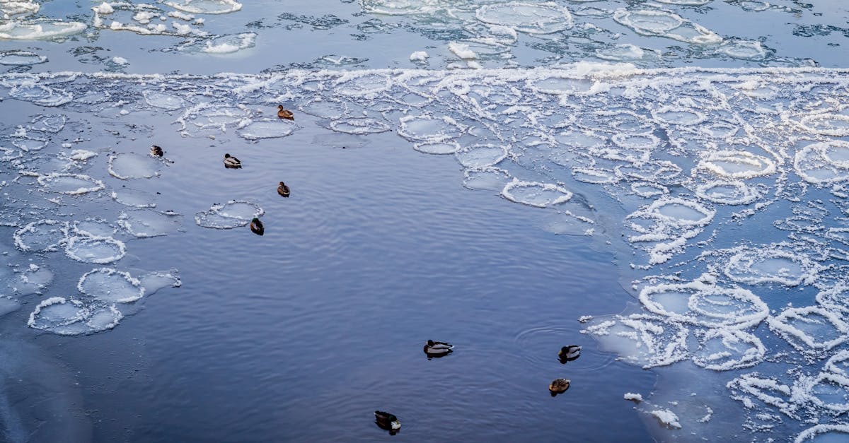 découvrez les politiques climatiques essentielles qui visent à lutter contre le changement climatique, à promouvoir la durabilité et à préserver notre planète pour les générations futures. informez-vous sur les stratégies, les engagements internationaux et les solutions innovantes mises en place par les gouvernements et les organisations.