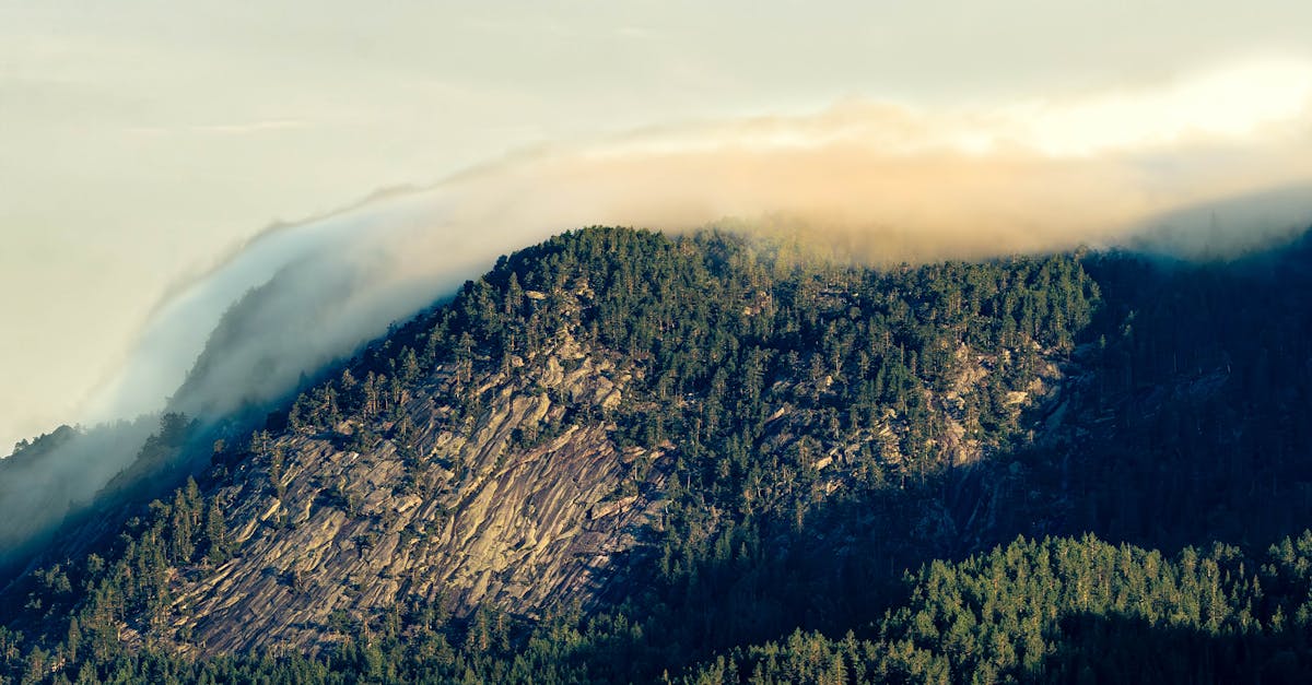 découvrez les différents types de climat à travers le monde, leur impact sur l'environnement et leurs influences sur la biodiversité. apprenez à mieux comprendre les caractéristiques de chaque climat et son rôle crucial dans notre écosystème.