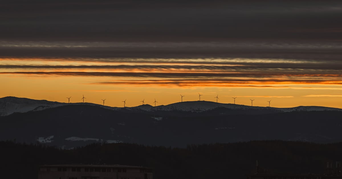 découvrez les politiques environnementales essentielles qui façonnent notre avenir durable. informez-vous sur les initiatives, les lois et les pratiques visant à protéger notre planète et à promouvoir un développement respectueux de l'environnement.