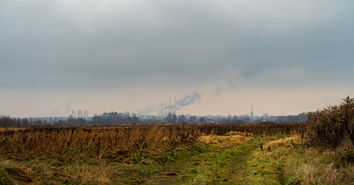 découvrez comment les politiques environnementales visent à protéger notre planète en régulant les activités humaines, en promouvant des pratiques durables et en préservant les ressources naturelles pour les générations futures.