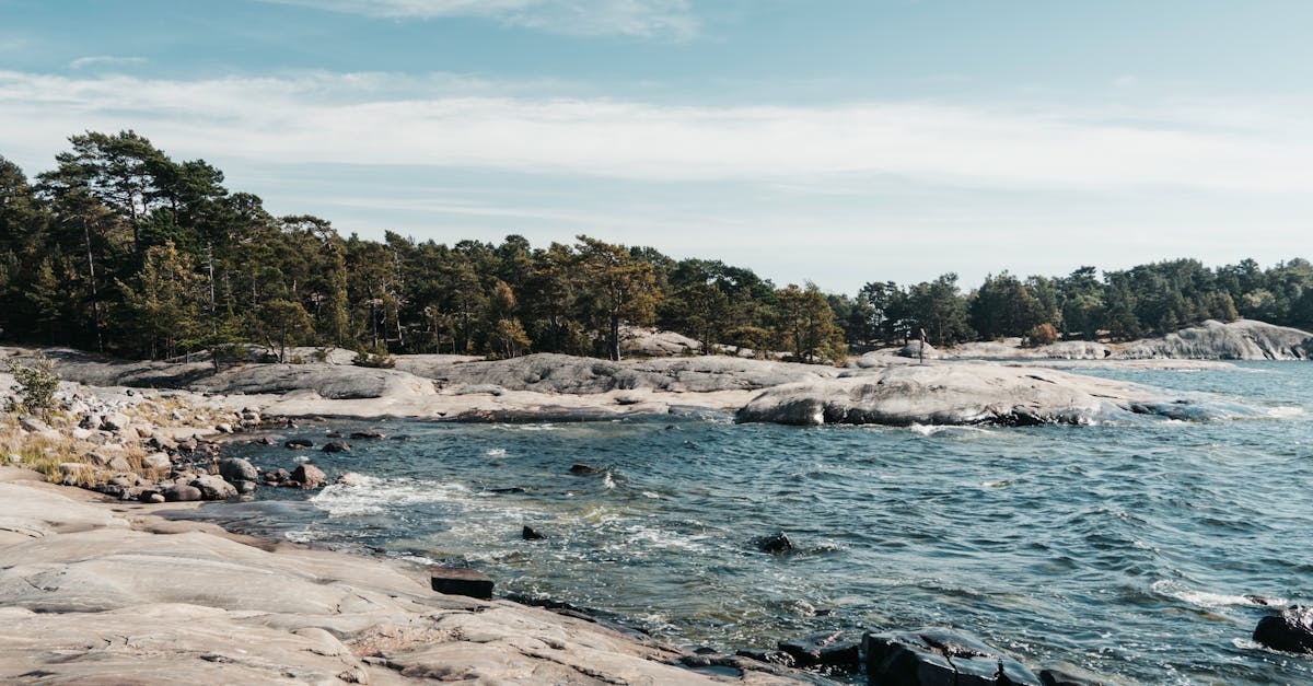 découvrez l'importance de l'évaluation des politiques environnementales pour garantir un développement durable. analysez les impacts, les stratégies et les meilleures pratiques pour promouvoir un avenir respectueux de l'environnement.