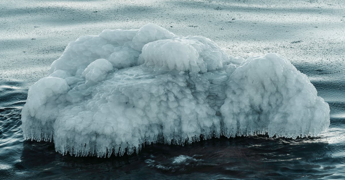 découvrez l'importance de l'évaluation des politiques environnementales pour mesurer leur efficacité et leur impact sur la durabilité. analysez les stratégies mises en œuvre, identifiez les améliorations possibles et contribuez à un avenir plus vert.