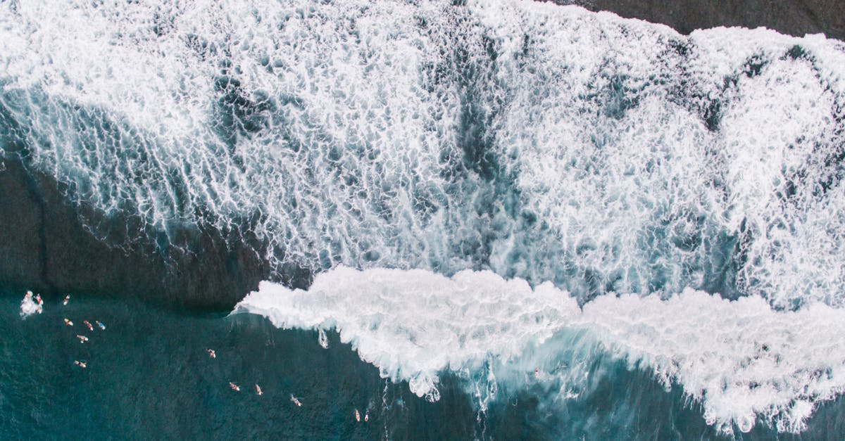 découvrez le monde fascinant des courants océaniques, leurs impacts sur le climat, la faune marine et les routes commerciales. plongez dans l'étude des dynamiques maritimes et apprenez comment ces mouvements d'eau façonnent notre planète.