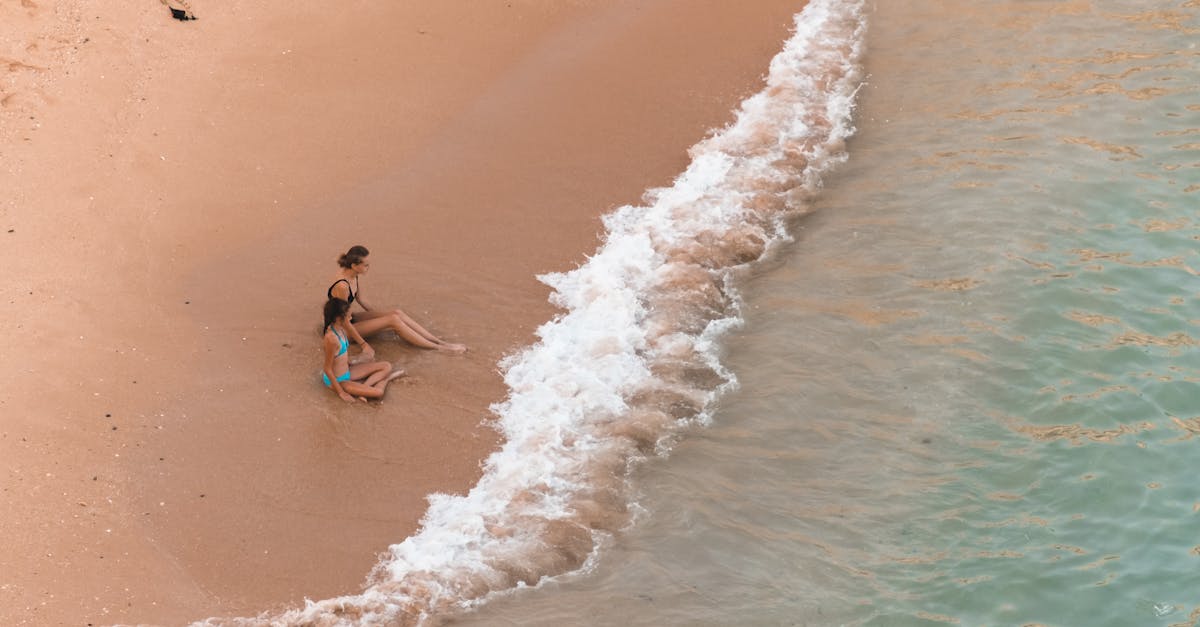 découvrez les enjeux du réchauffement des océans, ses impacts sur la biodiversité marine, le climat et notre avenir. informez-vous sur les causes, les effets et les solutions pour protéger nos mers et océans face à cette crise environnementale.