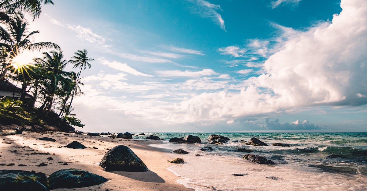 découvrez la beauté et la diversité des océans, ces vastes étendues d'eau qui abritent une incroyable variété de vie marine, des paysages sous-marins époustouflants et jouent un rôle crucial dans la régulation du climat de notre planète.