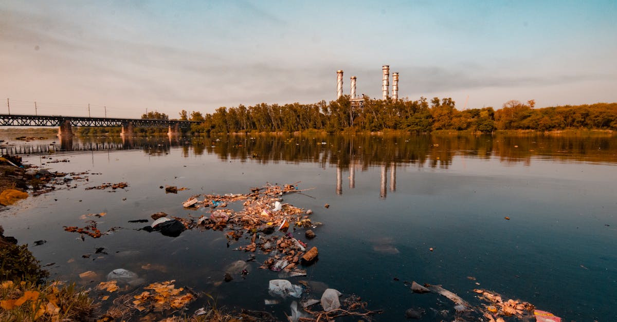 découvrez les causes et les conséquences de la pollution sur notre environnement et notre santé. explorez des solutions durables pour réduire votre empreinte écologique et contribuer à un avenir plus sain.