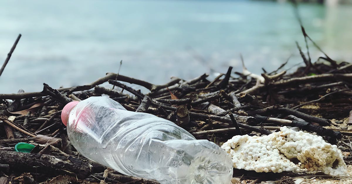 découvrez l'importance du recyclage pour l'environnement et comment participer activement à la préservation des ressources naturelles. apprenez des astuces pratiques pour recycler efficacement au quotidien et réduire votre impact écologique.