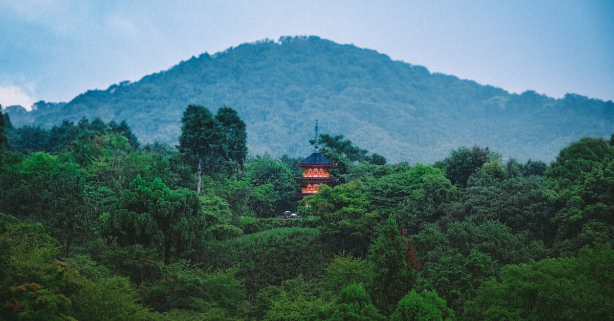 découvrez l'importance de la reforestation pour la planète. apprenez comment cette pratique contribue à la lutte contre le changement climatique, à la préservation de la biodiversité et à l'amélioration de la qualité de l'air. engagez-vous pour un avenir durable grâce à des initiatives de reforestation.