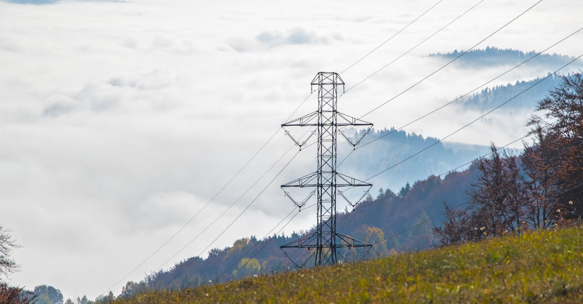 découvrez les énergies renouvelables, une solution durable pour l'avenir. apprenez comment ces sources d'énergie respectueuses de l'environnement, telles que le solaire, l'éolien et l'hydraulique, contribuent à réduire notre empreinte carbone et à promouvoir un développement durable.