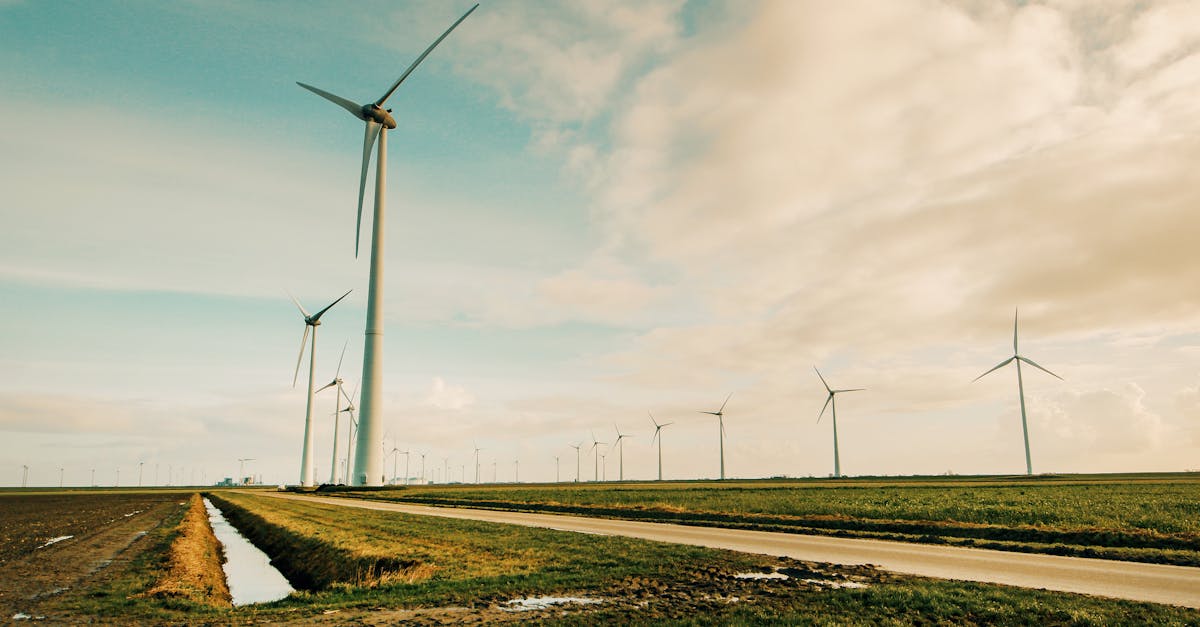 découvrez les avantages des énergies renouvelables, leur impact sur la planète et comment elles transforment notre avenir énergétique. explorez les solutions durables pour un monde plus vert.