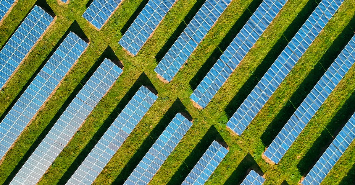 découvrez les avantages de l'énergie solaire : une source d'énergie renouvelable, écologique et économique qui permet de réduire votre empreinte carbone tout en réalisant des économies sur vos factures d'électricité.